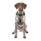 Preview: Kurgo Journey Air Harness Schwarz Gr. XS Preview: Kurgo Journey Air Harness Schwarz Gr. XS